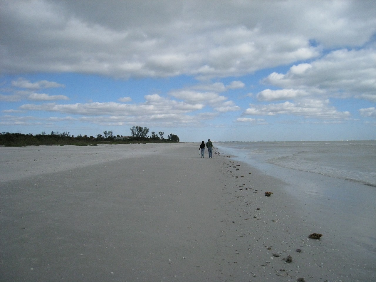 Vacation 2007-12 - Sanibel Island 0025.jpg - Our vacation for 2007-08 to Florida included a side trip to Sanibel Island. The main attraction here is "shelling", known as "The Sanibel Stoop" named for people bending over to pick up shells. It was a cold and blustery day at best!